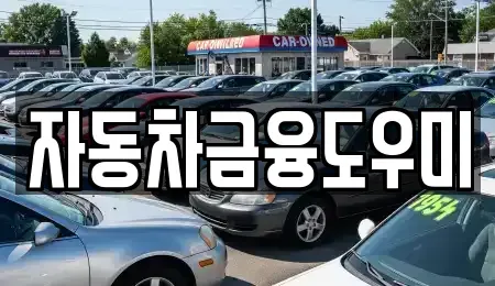 경기도 김포시 장기동 장기렌트카 전문 자동차금융도우미