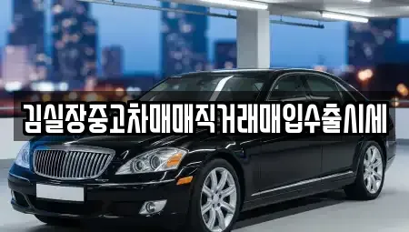 경기도 김포시 장기동 중고차매매,단기렌트카,중고차매입,장기렌트카,중고차,렌트카