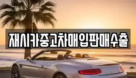 경기도 김포시 장기동 중고차매입 전문 재시카중고차매입판매수출