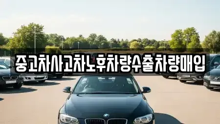 경기도 성남시 분당구 서현동 중고차매입 전문 중고차사고차노후차량수출차량매입
