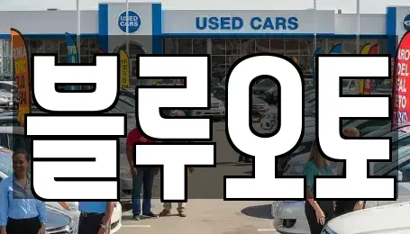 경기도 수원시 권선구 탑동 중고차매매 전문 블루오토