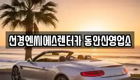 경기도 안산시 상록구 본오동 렌트카 전문 선경엔씨에스렌터카 동안산영업소