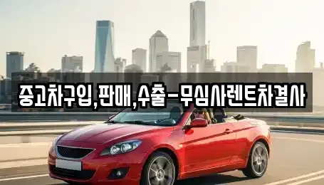 경기도 안산시 상록구 본오동 중고차 전문 중고차구입,판매,수출-무심사렌트차결사