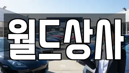 경기도 안성시 가현동 중고차 전문 월드상사