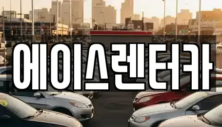 경기도 안성시 옥산동 렌트카 전문 에이스렌터카