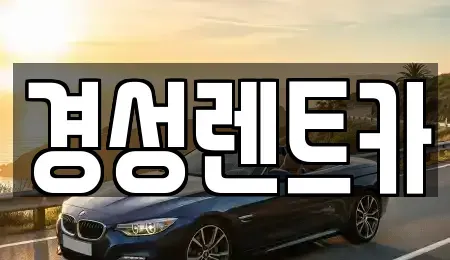 경기도 양주시 회정동 렌트카 전문 경성렌트카