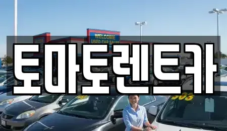 경기도 양주시 회정동 렌트카 전문 토마토렌트카