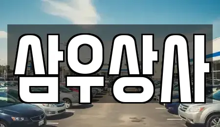 경기도 양주시 회정동 중고차 전문 삼우상사