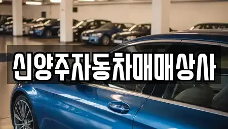 경기도 양주시 회정동 중고차 전문 신양주자동차매매상사