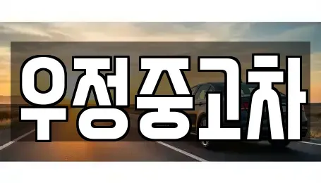 경기도 양주시 회정동 중고차 전문 우정중고차