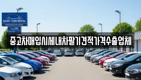 경기도 연천군 신서면 중고차 전문 중고차매입시세내차팔기견적가격수출업체