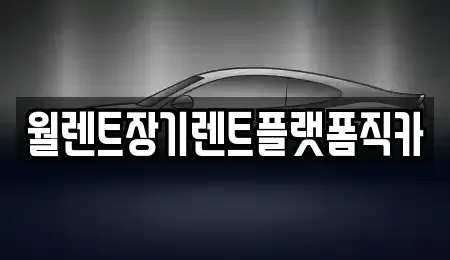 경기도 오산시 궐동 장기렌트카 전문 월렌트장기렌트플랫폼직카