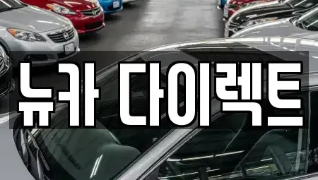 경기도 오산시 내삼미동 장기렌트카 전문 뉴카 다이렉트