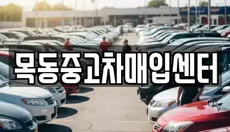 경기도 의왕시 왕곡동 중고차매입 전문 목동중고차매입센터
