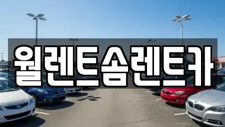 경기도 의정부시 금오동 렌트카 전문 월렌트솜렌트카