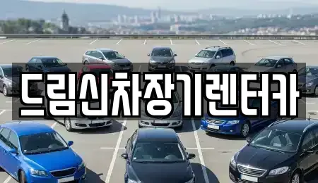 경기도 의정부시 금오동 장기렌트카 전문 드림신차장기렌터카