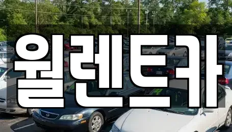 경기도 이천시 부발읍 렌트카 전문 월렌트카