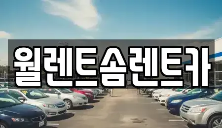 경기도 이천시 송정동 렌트카 전문 월렌트솜렌트카