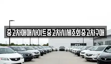 경기도 파주시 적성면 중고차매매 전문 중고차매매사이트중고차시세조회중고차구매