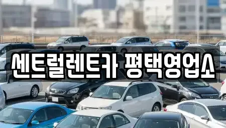 경기도 평택시 세교동 단기렌트카 전문 센트럴렌트카 평택영업소
