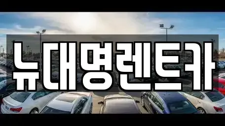경기도 평택시 세교동 렌트카 전문 뉴대명렌트카