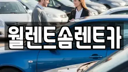 경기도 평택시 세교동 렌트카 전문 월렌트솜렌트카