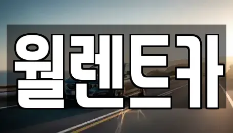 경기도 평택시 세교동 렌트카 전문 월렌트카