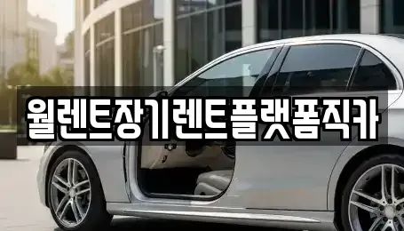 경기도 평택시 세교동 장기렌트카 전문 월렌트장기렌트플랫폼직카