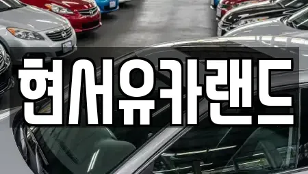 경기도 평택시 세교동 중고차매매 전문 현서유카랜드