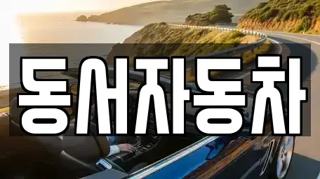 경남 사천시 죽림동 중고차 전문 동서자동차