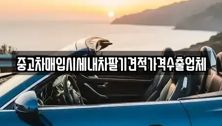 경남 창원시 의창구 중고차매입 전문 중고차매입시세내차팔기견적가격수출업체