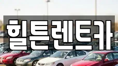 경남 창원시 진해구 장천동 렌트카 전문 힐튼렌트카