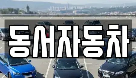 경남 창원시 진해구 장천동 중고차 전문 동서자동차