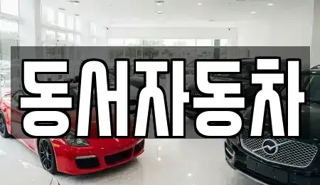 경북 경산시 용성면 중고차매매 전문 동서자동차