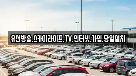 경북 경산시 용성면 중고차매입 전문 유선방송.스카이라이프.TV.인터넷.가입.당일설치