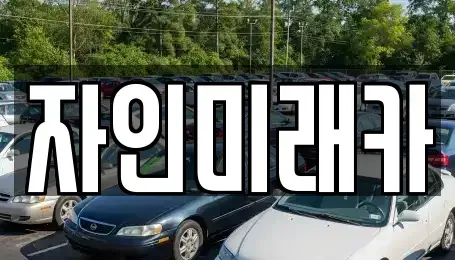 경북 경산시 자인면 장기렌트카,중고차,렌트카,단기렌트카,중고차매입,중고차매매