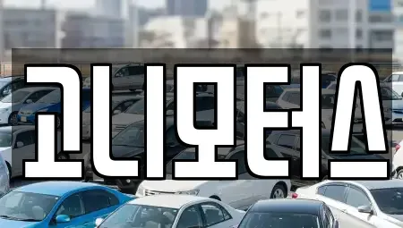 경북 경산시 중고차 전문 고니모터스