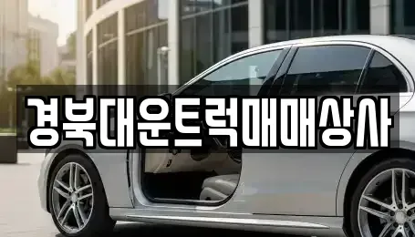 경북 경산시 진량읍 중고차매매 전문 경북대운트럭매매상사
