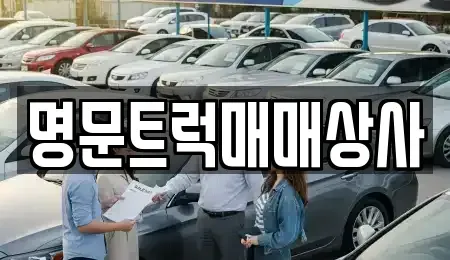 경북 경산시 진량읍 중고차매매 전문 명문트럭매매상사