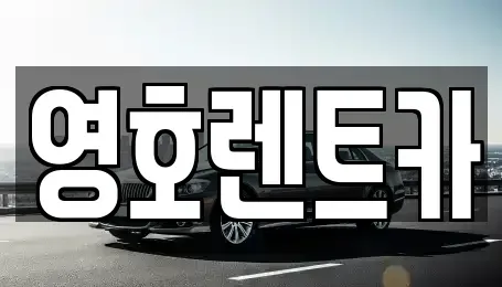 경북 문경시 윤직동 렌트카 전문 영호렌트카