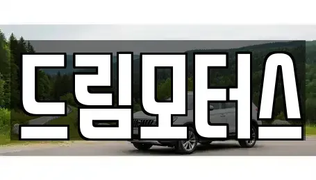 경북 문경시 윤직동 중고차 전문 드림모터스