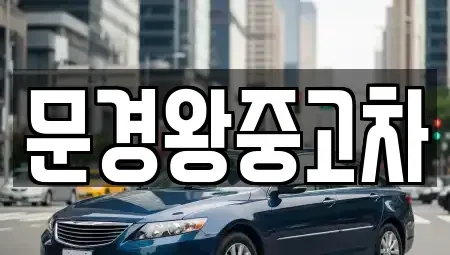 경북 문경시 윤직동 중고차매매 전문 문경왕중고차