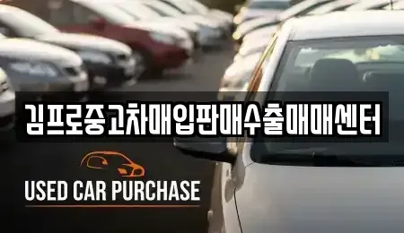 경북 포항시 북구 여천동 중고차매입 전문 김프로중고차매입판매수출매매센터