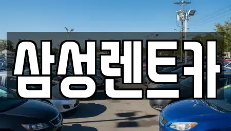 경상남도 남해군 렌트카 전문 삼성렌트카