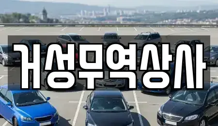 경상남도 창녕군 영산면 중고차 전문 거성무역상사