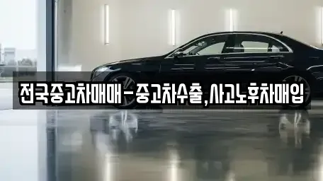 경상남도 창원시 마산합포구 예곡동 중고차매입 전문 전국중고차매매-중고차수출,사고노후차매입