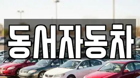 경상남도 창원시 성산구 안민동 중고차매매 전문 동서자동차