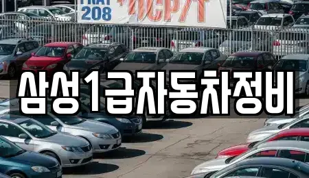 경상북도 김천시 봉산면 렌트카 전문 삼성1급자동차정비