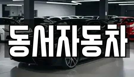 경상북도 김천시 봉산면 중고차 전문 동서자동차