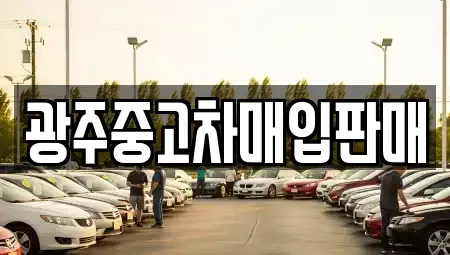 광주 광산구 월계동 중고차매매 전문 광주중고차매입판매